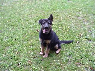 Dan LaRocque at 4 months old